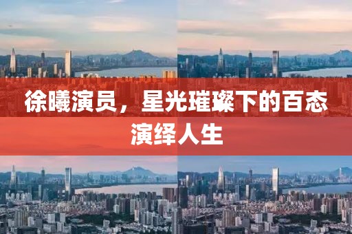 徐曦演员，星光璀璨下的百态演绎人生