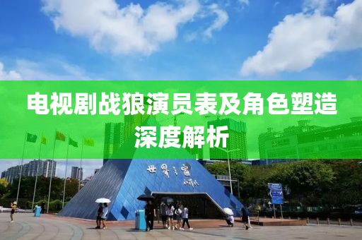 电视剧战狼演员表及角色塑造深度解析