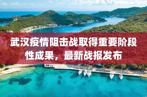 武汉疫情阻击战取得重要阶段性成果，最新战报发布