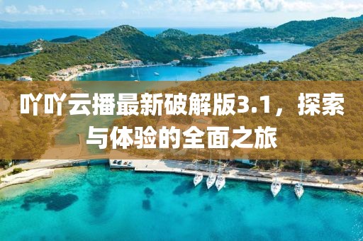 吖吖云播最新破解版3.1，探索与体验的全面之旅
