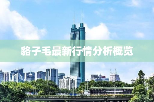 貉子毛最新行情分析概览