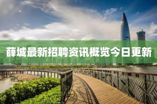 薛城最新招聘资讯概览今日更新