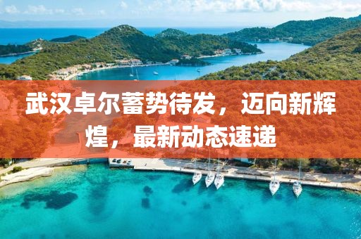武汉卓尔蓄势待发，迈向新辉煌，最新动态速递