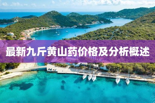 最新九斤黄山药价格及分析概述