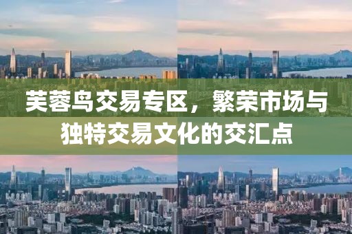 芙蓉鸟交易专区，繁荣市场与独特交易文化的交汇点