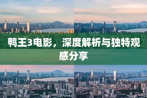 鸭王3电影，深度解析与独特观感分享