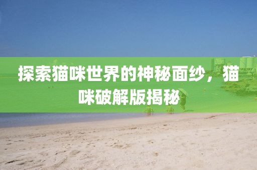 探索猫咪世界的神秘面纱，猫咪破解版揭秘