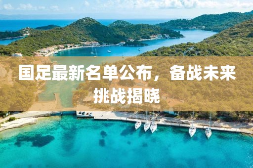 国足最新名单公布，备战未来挑战揭晓