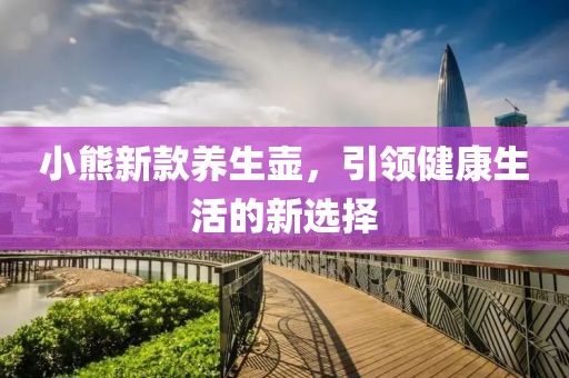 小熊新款养生壶，引领健康生活的新选择