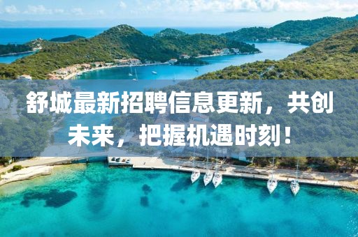 舒城最新招聘信息更新，共创未来，把握机遇时刻！