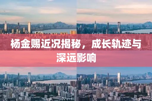 杨金赐近况揭秘，成长轨迹与深远影响