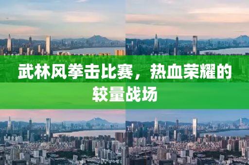 武林风拳击比赛，热血荣耀的较量战场