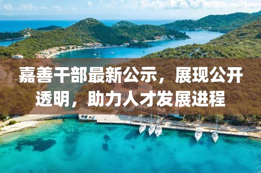 嘉善干部最新公示，展现公开透明，助力人才发展进程