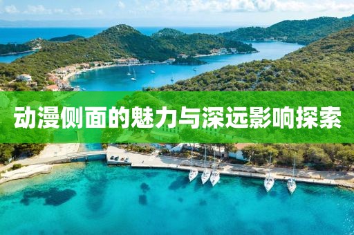 动漫侧面的魅力与深远影响探索