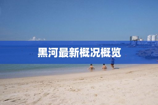 黑河最新概况概览