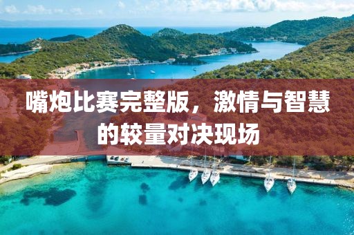 嘴炮比赛完整版，激情与智慧的较量对决现场