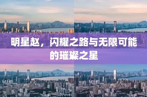 明星赵，闪耀之路与无限可能的璀璨之星