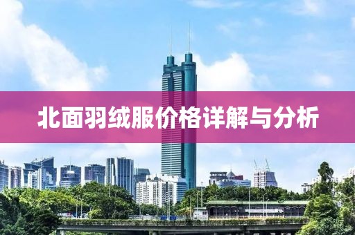 北面羽绒服价格详解与分析