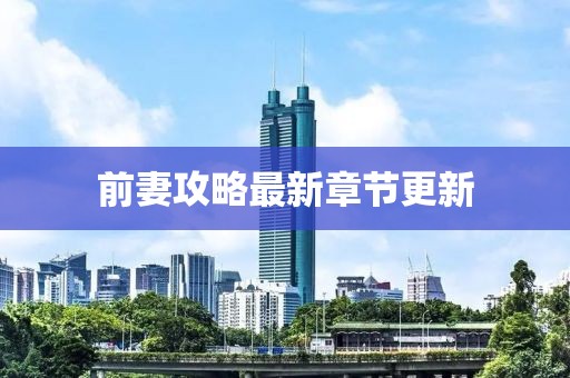 前妻攻略最新章节更新