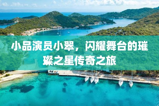 小品演员小翠，闪耀舞台的璀璨之星传奇之旅