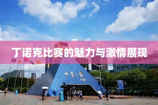 丁诺克比赛的魅力与激情展现