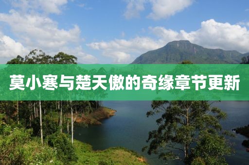莫小寒与楚天傲的奇缘章节更新
