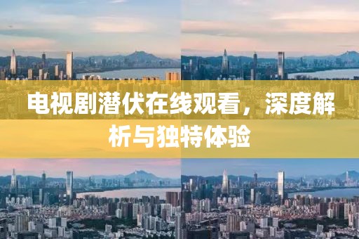 电视剧潜伏在线观看，深度解析与独特体验