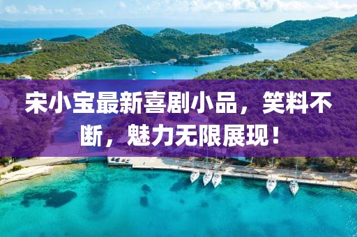 宋小宝最新喜剧小品，笑料不断，魅力无限展现！