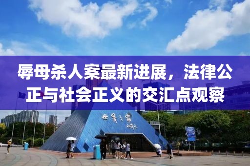 辱母杀人案最新进展，法律公正与社会正义的交汇点观察