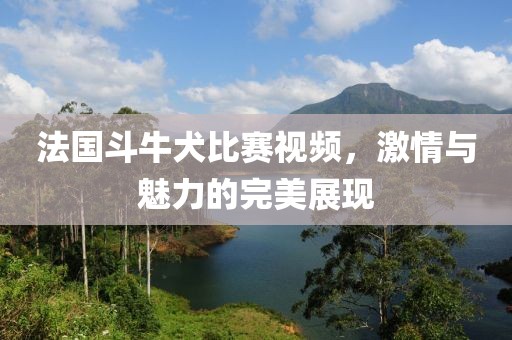 法国斗牛犬比赛视频，激情与魅力的完美展现