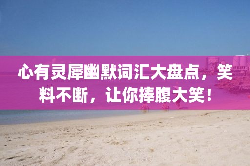心有灵犀幽默词汇大盘点，笑料不断，让你捧腹大笑！