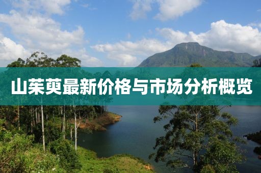 山茱萸最新价格与市场分析概览