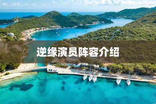 逆缘演员阵容介绍