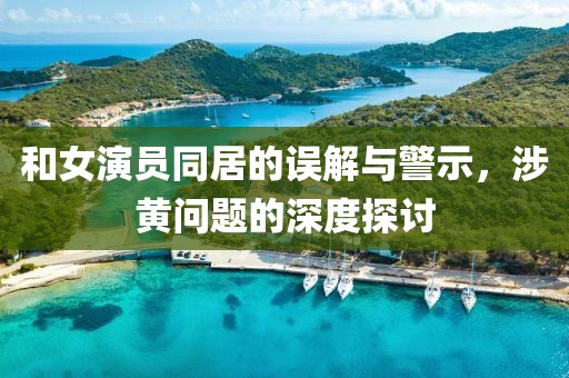 和女演员同居的误解与警示，涉黄问题的深度探讨
