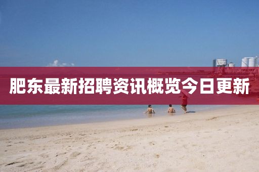 肥东最新招聘资讯概览今日更新
