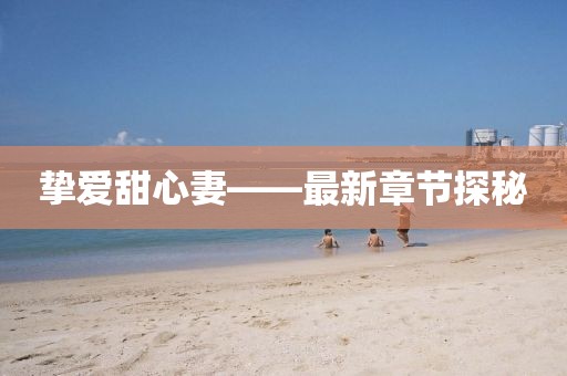 挚爱甜心妻——最新章节探秘