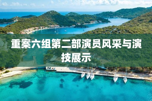 重案六组第二部演员风采与演技展示