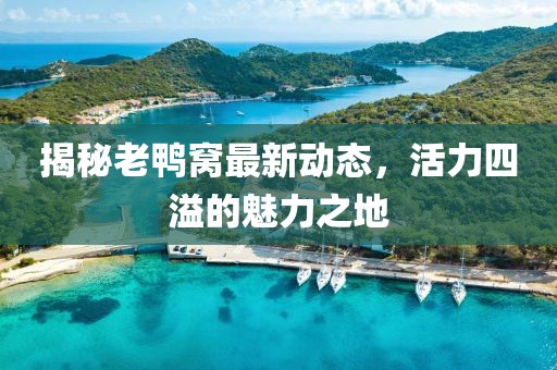 揭秘老鸭窝最新动态，活力四溢的魅力之地