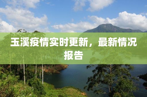 玉溪疫情实时更新，最新情况报告