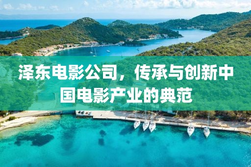 泽东电影公司，传承与创新中国电影产业的典范