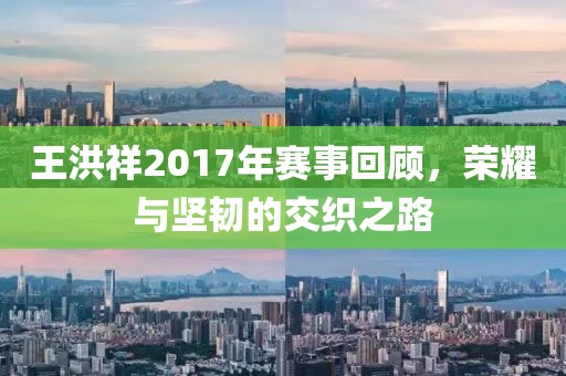 王洪祥2017年赛事回顾，荣耀与坚韧的交织之路