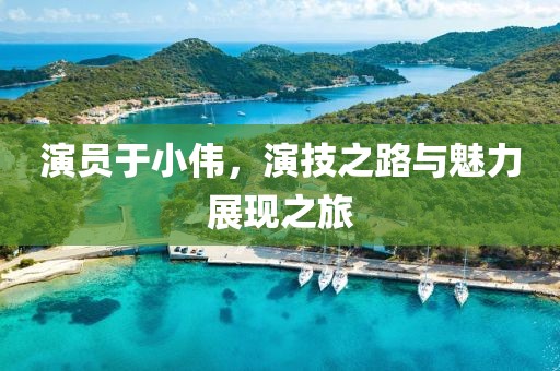 演员于小伟，演技之路与魅力展现之旅