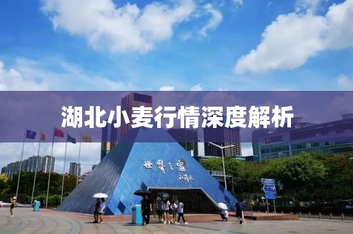 湖北小麦行情深度解析