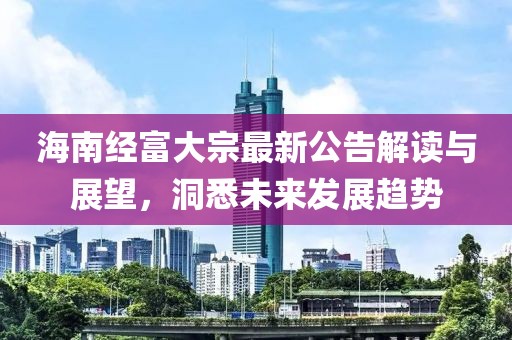 海南经富大宗最新公告解读与展望，洞悉未来发展趋势