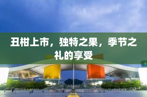 丑柑上市，独特之果，季节之礼的享受