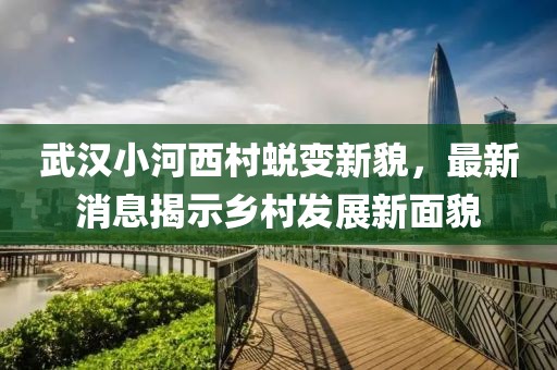武汉小河西村蜕变新貌，最新消息揭示乡村发展新面貌