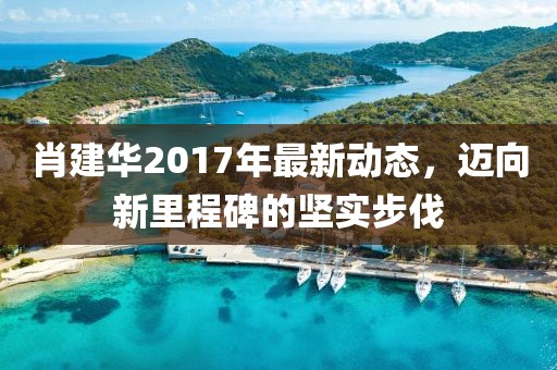 肖建华2017年最新动态，迈向新里程碑的坚实步伐