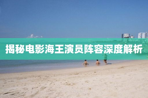 揭秘电影海王演员阵容深度解析