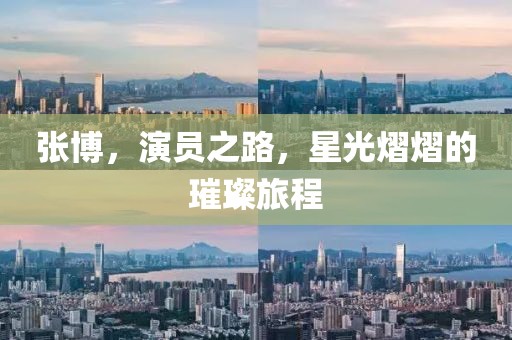张博，演员之路，星光熠熠的璀璨旅程