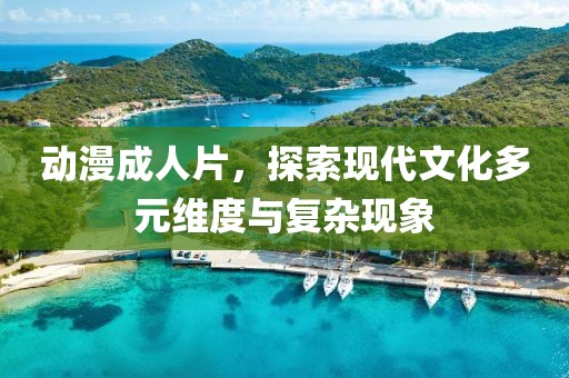 动漫成人片，探索现代文化多元维度与复杂现象